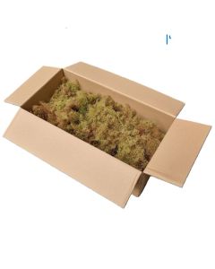 Modeltr&aelig;er Sea moss natur - Karton