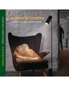 Bog Human Belysning: Solskinslys p&aring; en gr&aring;vejrsdag