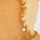 Akvarel W&N 285 ½ pans gold ochre S2
