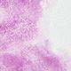 Akvarel W&N 192 ½ pans cobalt violet S4 (176)
