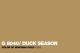 Spraymaling Montana Gold 400ml 8040 Duck Season