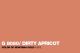 Spraymaling Montana Gold 400ml 8080 Dirty Apricot