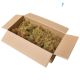Modeltræer Sea moss natur - Karton