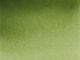 Akvarel akademie 1/2 pans 554 olive green yellowish
