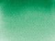 Akvarel akademie 1/2 pans 555 leaf green