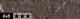 Oliepastel Neopastel 049 raw umber