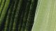 Akryl akademie 60ml 560 sap green