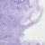 Akvarel W&N 672 ½ pans ultramarine violet S2