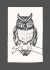 Linoleumsfarve linoprint 35ml 100 titanium white Schmincke