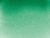 Akvarel akademie 1/2 pans 555 leaf green