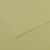 Karton Mi-Teintes 50x65cm 160g 480 Light green - 17-31032S107