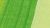 Akryl akademie 60ml 557 may green