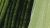 Akryl akademie 250ml 560 sap green
